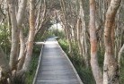 Yan Yeannative-gardens-3.jpg; ?>
